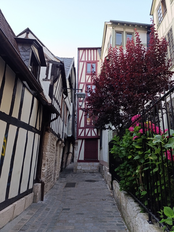 Crédit photo : cerema Ruelle de centre-ville, Rouen